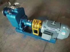 保定(ding)不鏽鋼(gang)自吸泵(beng)