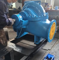 BECN雙(shuang)吸泵